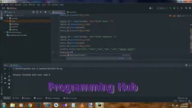 How To Create GUI Application In Python Using Tkinter || Programming HUB