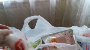 Как разделить пластик и подготовить его к сдаче на сборах