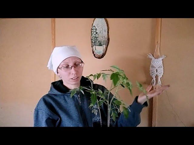 LifeVlog хроника мая : Привожу в порядок заброшенную дачуВысадила помидорыМежду городом и дачей смотреть онлайн