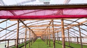 Обзор Питомника на 22.09.2023 #сеянцы #зкс #лесовосстановление #саженцы #лиственница #питомник