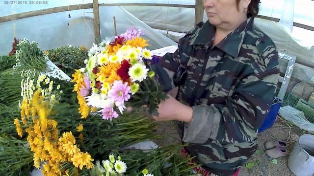 Хризантема.Букеты. Продолжение. смотреть онлайн