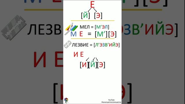 Звуковой анализ: Буква Е, звуки Й и Э. Е в начале слова, после гласной, после Ь и согласной #shorts