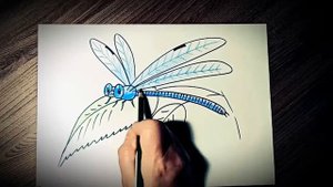 Как нарисовать стрекозу. Простой поэтапный видео урок для начинающих.