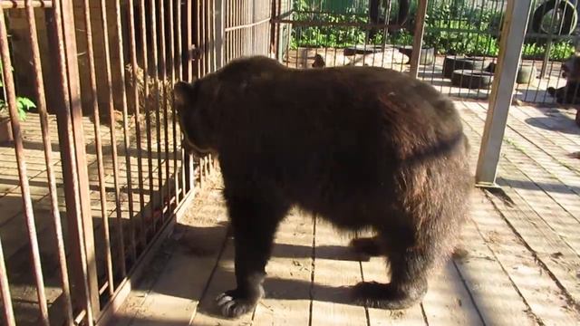 Тонечка смотреть онлайн