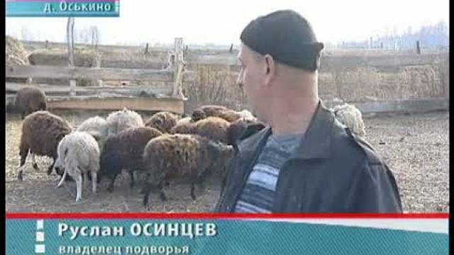 Самозанятость