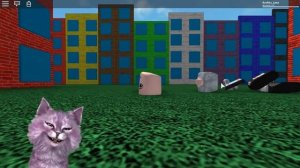 ЛЕДИ БАГ НУЖНА МОЯ ПОМОЩЬ! ФОТОГРАФИРУЮСЬ С СУПЕР-КОТОМ Miraculous Ladybug Obby roblox