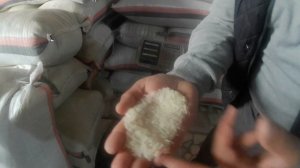 Хоразм шоли хороз анжирчида лазер брунч гуруч нархи-цена риса-price of rice