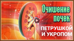 ЧИСТКА ПОЧЕК ПЕТРУШКОЙ И УКРОПОМ.mp4