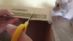 Простая лежанка из коробки для кота своими руками.