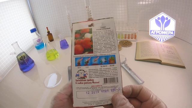 Томат Сахар красный. СеДеК смотреть онлайн