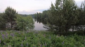 ВЫЕЗД НА ПРИРОДУ # БАЗА ОТДЫХА ДОМ РЫБАКА «МОРОЗОВСКИЙ»