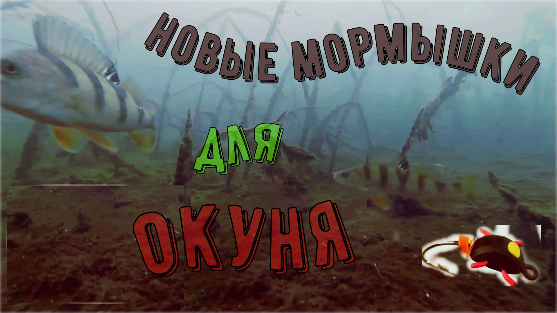 Как клюёт неактивный, окунь и кадры, подводные съемки.рыбалка#окунь#мормышка#зимняярыбалка#речка#