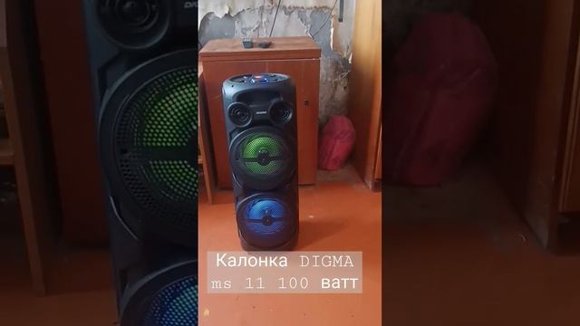 Купил колонку DIGMA ms 11 100 ватт