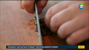 Готовим французский завтрак - тартар из говядины. Рубрика Пора завтракать.