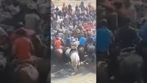 Кочон балбандын кок аты ортодо🇰🇬🔥👍💪🐎👇✍️