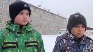 Бездомные собаки нападают на людей