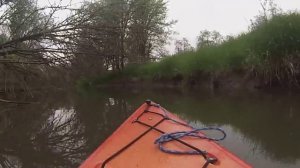 Scappoose Creek Kayak 5-24