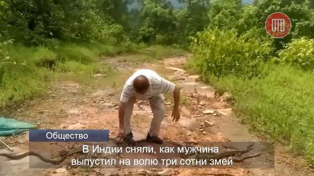 Топ-5 новостей мира смотреть онлайн