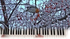 "Зима - зима..." . Версия 2 YAMAHA PSR - E443