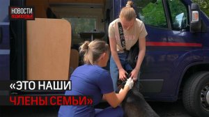 Питомцам делали прививку от бешенства в Истре