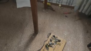 Заброшенный город в глуши леса. Город-Призрак!