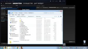 Игра Steam черный экран решение