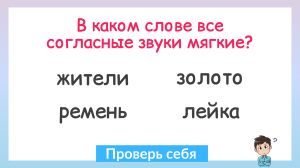 Задание на грамотность! В каком слове все согласные звуки мягкие?