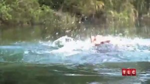 Мужчина-русалка