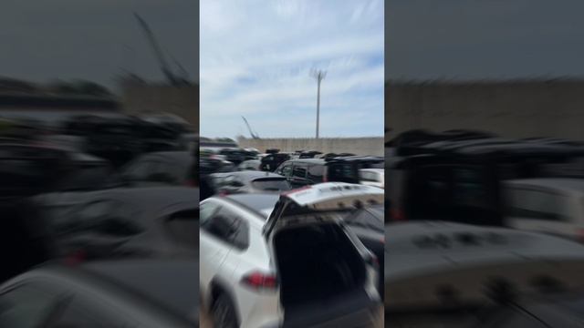 Доставка авто с Японии