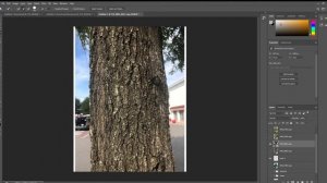 Maker Mindset: Photoshop Tree Tutorial
