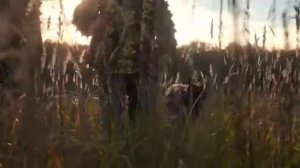 Что делает ведомственная охрана ж/д транспорта страны