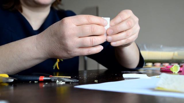 Master Class „Confecționarea Narcisului” смотреть онлайн