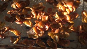 Что мы делаем с урожаем винограда? Оригинальный способ приготовления изюма