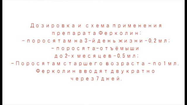 Поросята. Повышение сохранности молодняка.