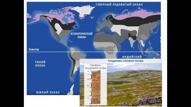 География, 6 класс. Почва. Логина И.Ю.