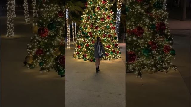 Рождество во Флориде🎄Влогмас на канале! #christmasmood #florida #vlogmas