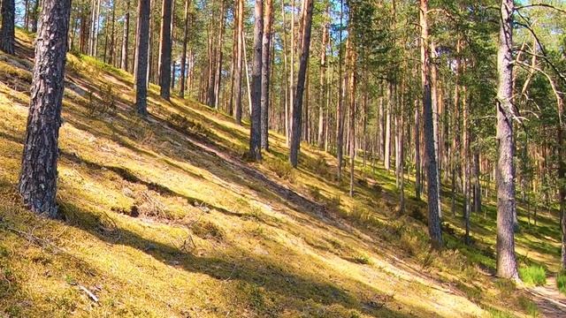 ОЗЁРА ПСКОВСКОГО КРАЯ.СЕРЕБРЯНОЕ,ЛЕСНОЕ,ЧУДСКОЕ ОЗЕРО.