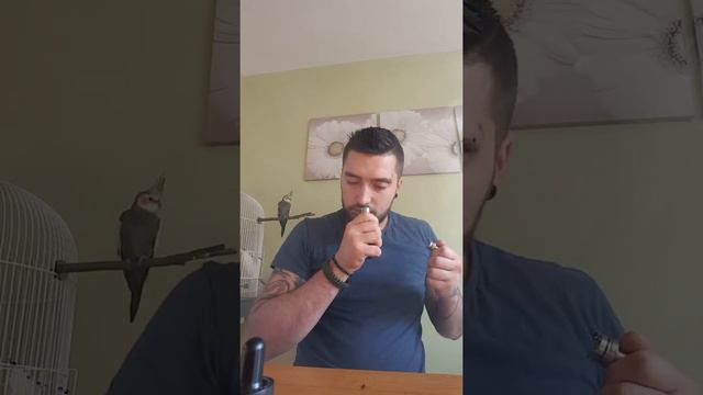 E Liquid Review for Pura Lite Gold range!! смотреть онлайн