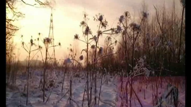 РОССИЯ СЕГОДНЯ смотреть онлайн