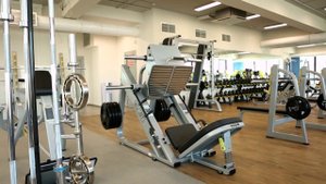 Обзор спортивного тренажера DHZ EVOST E-1056B ЖИМ НОГАМИ (leg press)