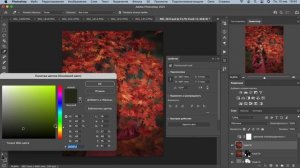 Учимся определять цвета на своих фотографиях