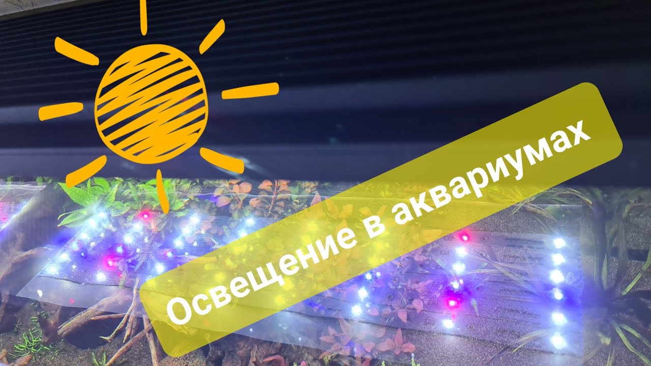Освещение в аквариумах смотреть онлайн