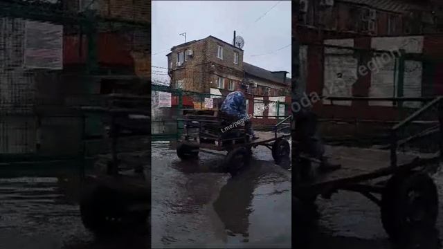 ⚡️После видео с запряженным в телегу заключенным ФСИН начала служебную проверку.