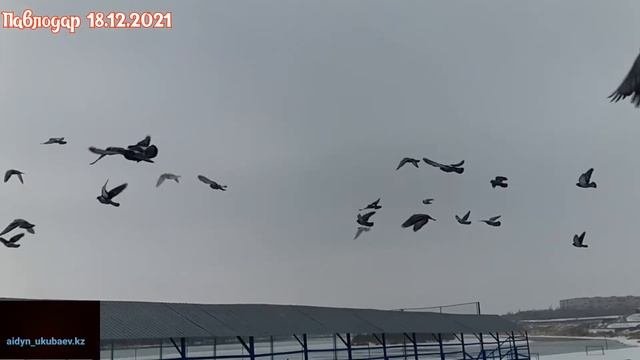 Павлодар 2021  Кто скучает по родному городу. Здравствуй столица!!!
