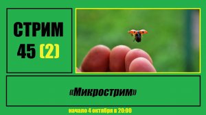 Стрим #45 (2) "Микрострим"