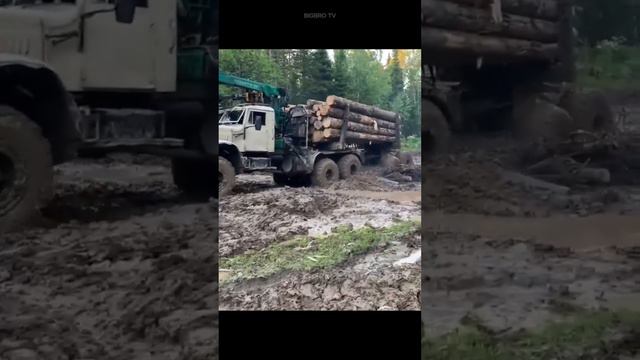 КРАЗ #reels #trending #ссср #краз #offroad #funnyshorts #funnyvideo #funny #truck #tiktok #bigbrotv