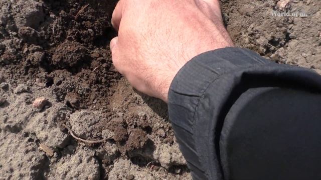 Находки у старой речной кладки. смотреть онлайн