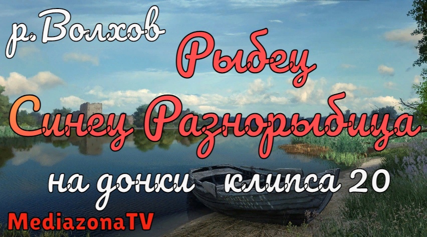 Русская Рыбалка 4 Где Клюет  р.Волхов Рыбец Синец Разнорыбица на донки