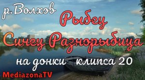 Русская Рыбалка 4 Где Клюет  р.Волхов Рыбец Синец Разнорыбица на донки