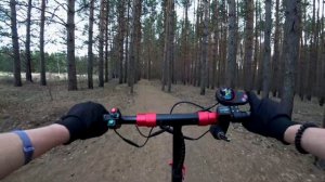 KUGOO MAX SPEED ПО ЛЕСУ